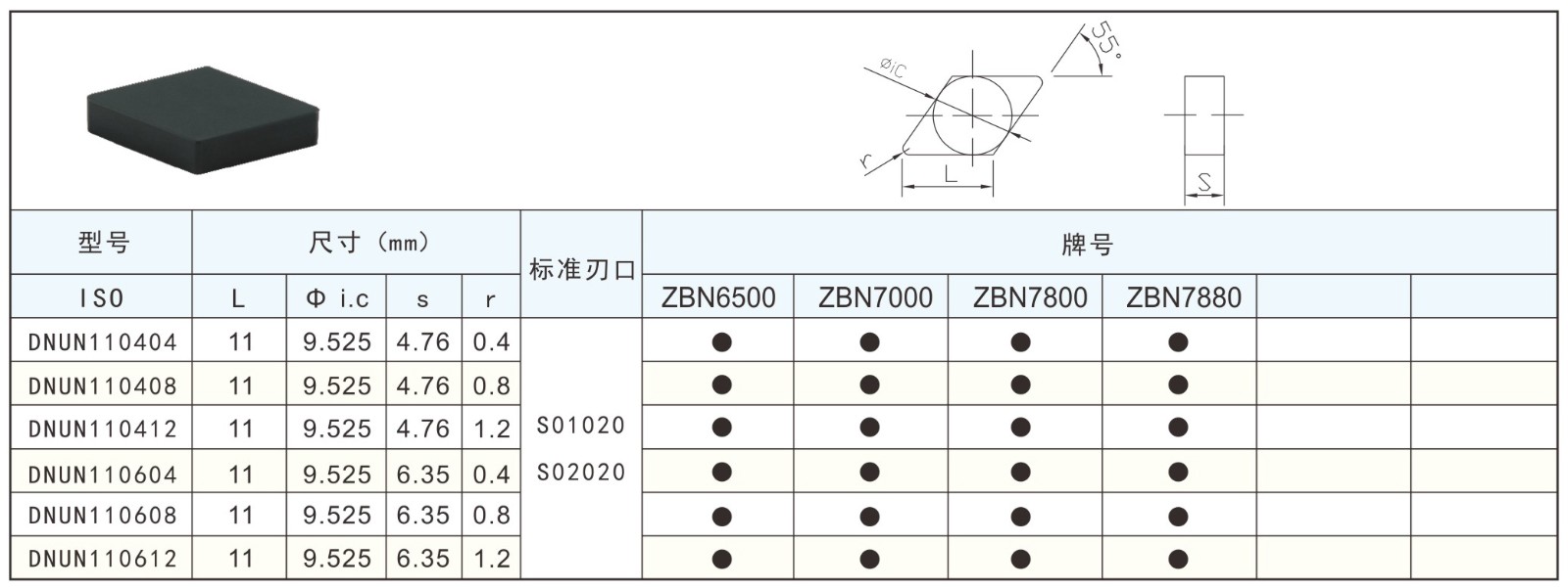 DNUN介绍.jpg